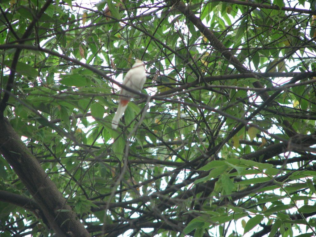 IMG_0154.jpg